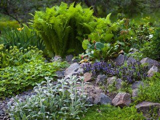 greenery, ferns, flowers