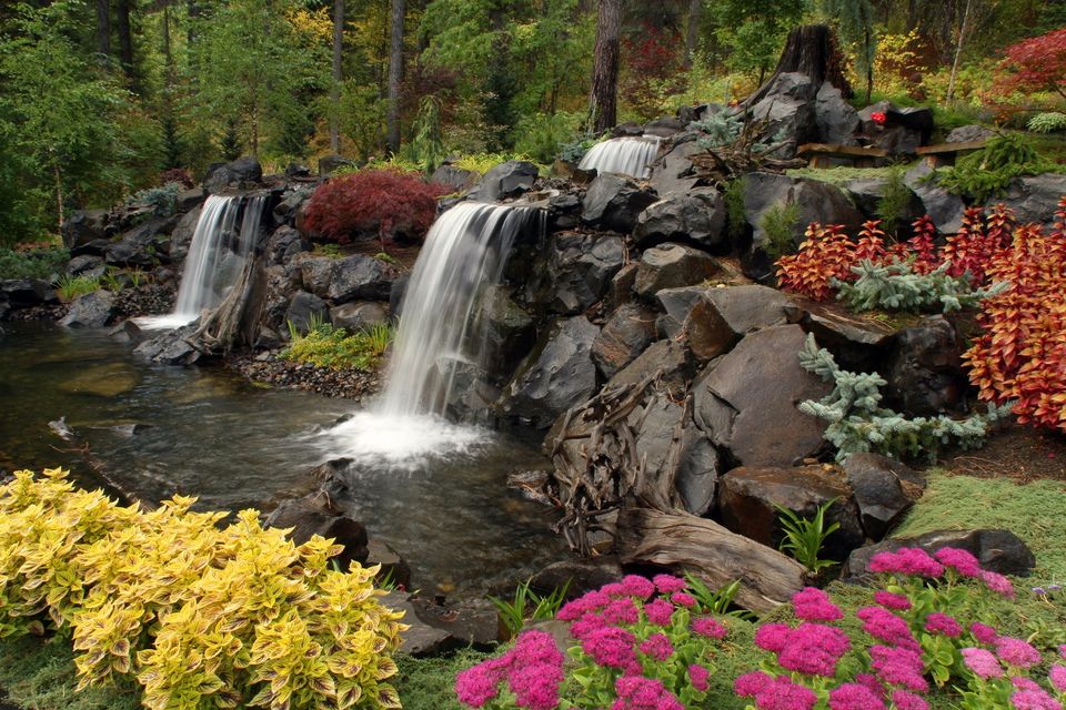 winter greenery plants waterfall