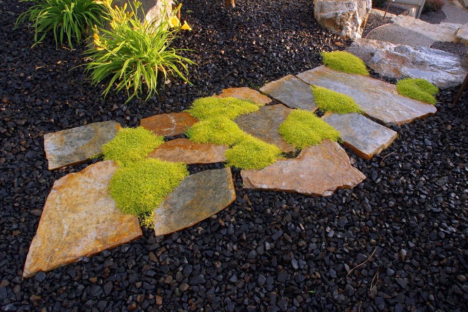 mossy design between pavers walkway