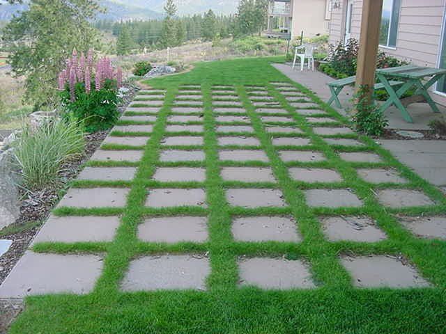 grass between paver walkway