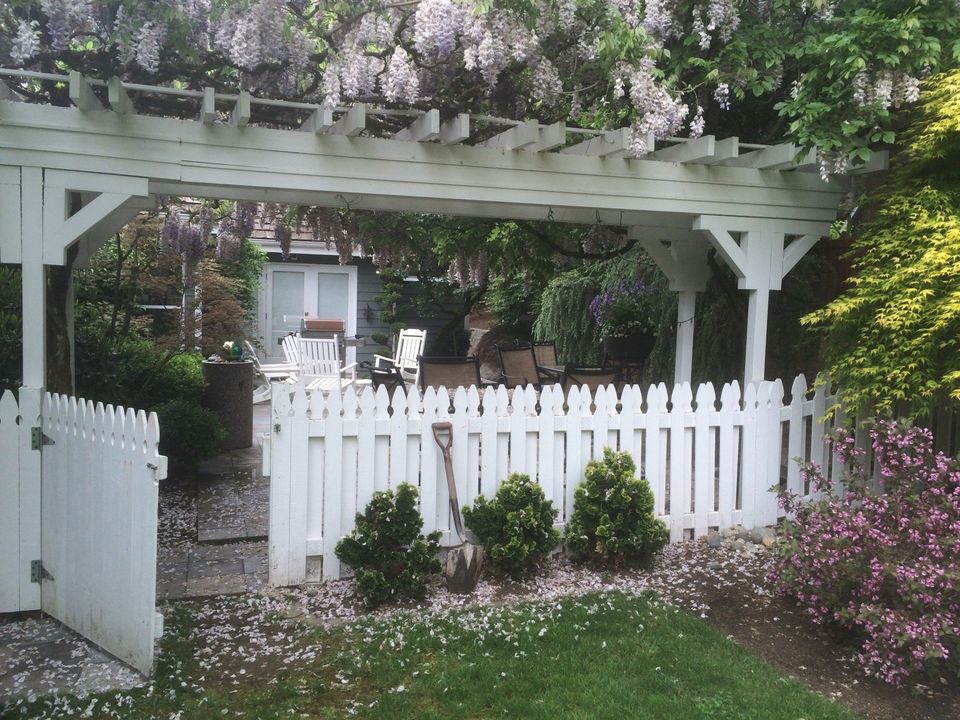 backyard pergola transformation