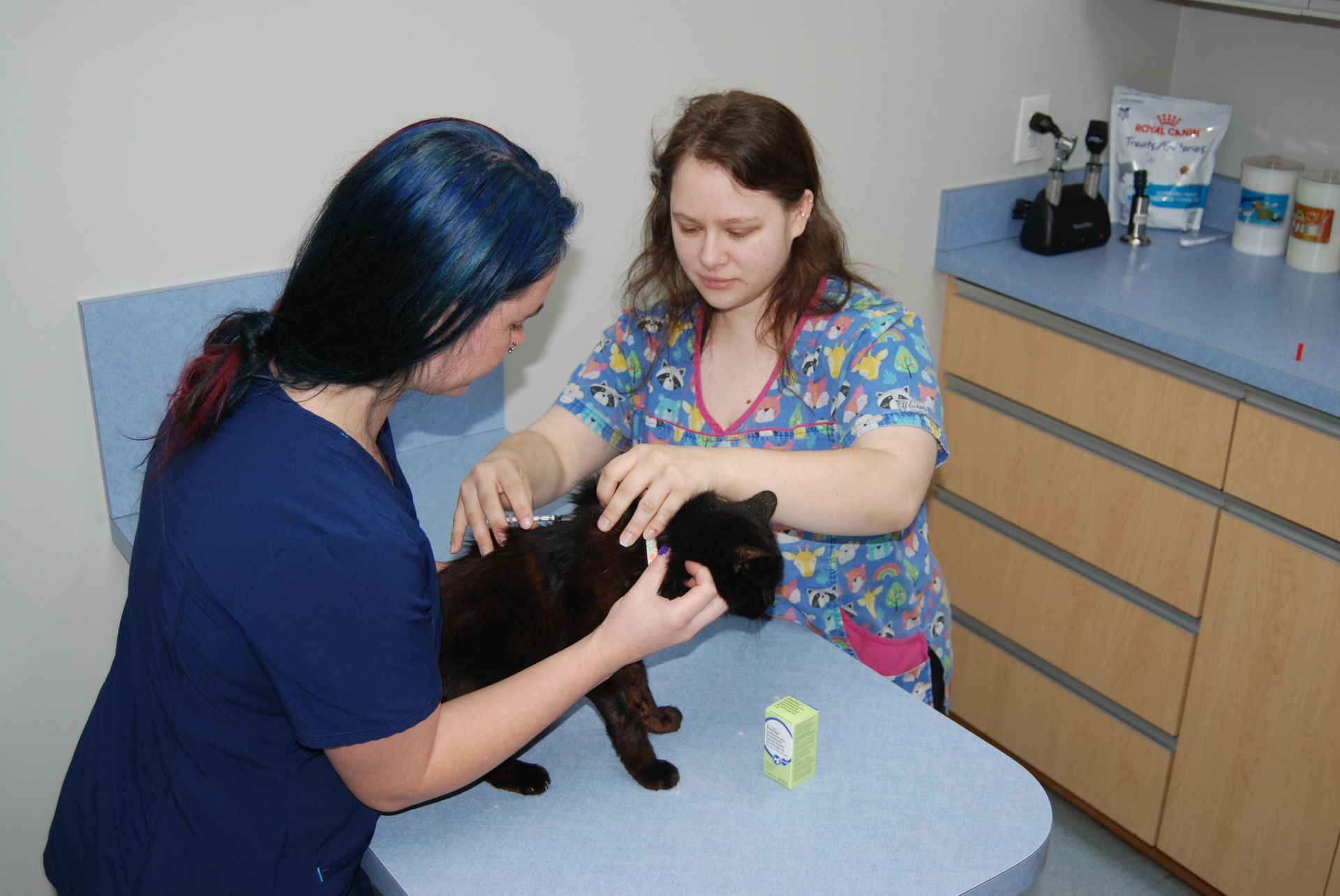 Clinic Lobby — Snellville, GA — Brookwood Animal Hospital
