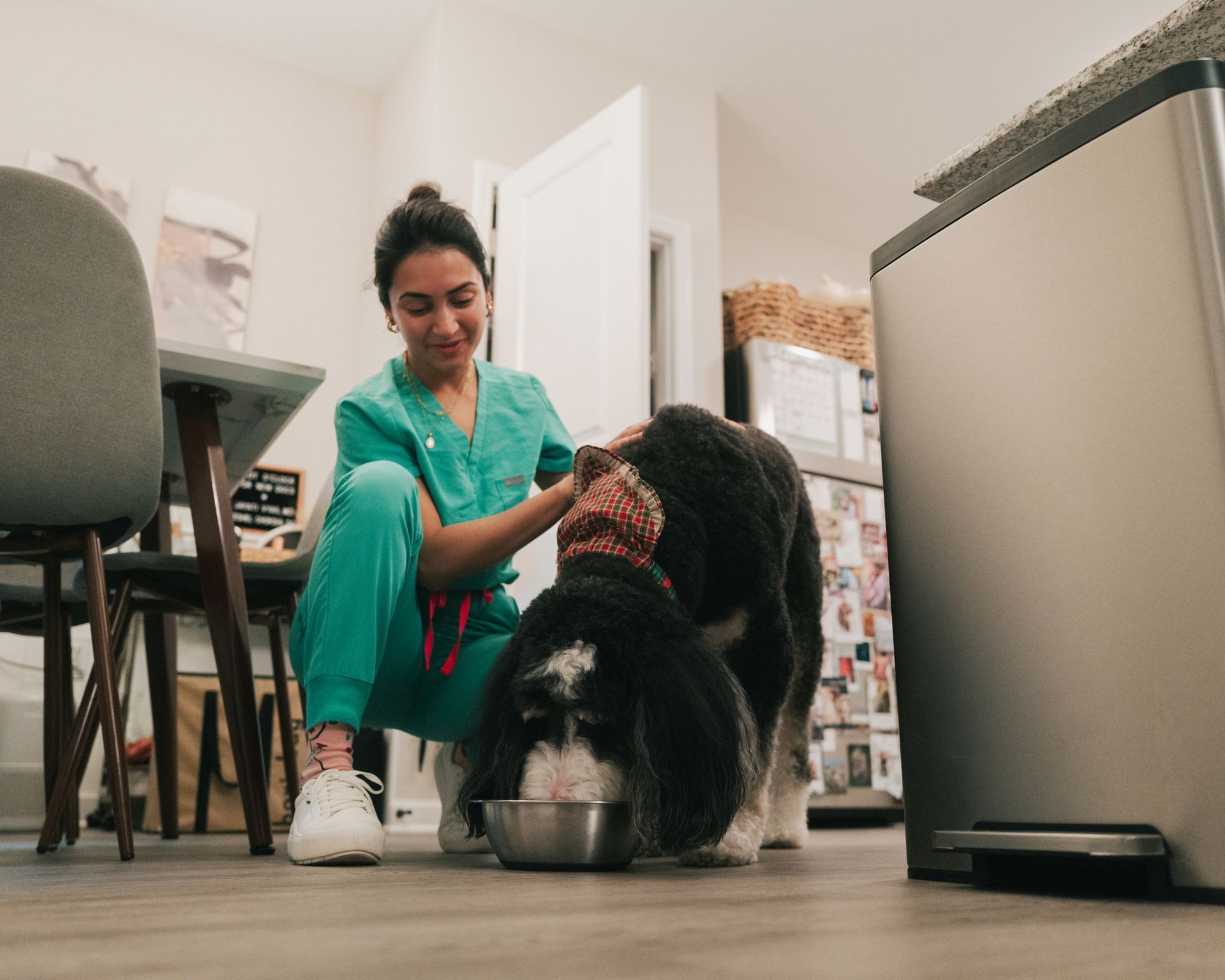 A woman in scrubs is feeding a dog from a bowl.