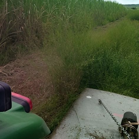 A Green Vehicle is Driving Down a Dirt Road Next to a Field of Tall Grass — CQ Rural Services In Bakers Creek, QLD
