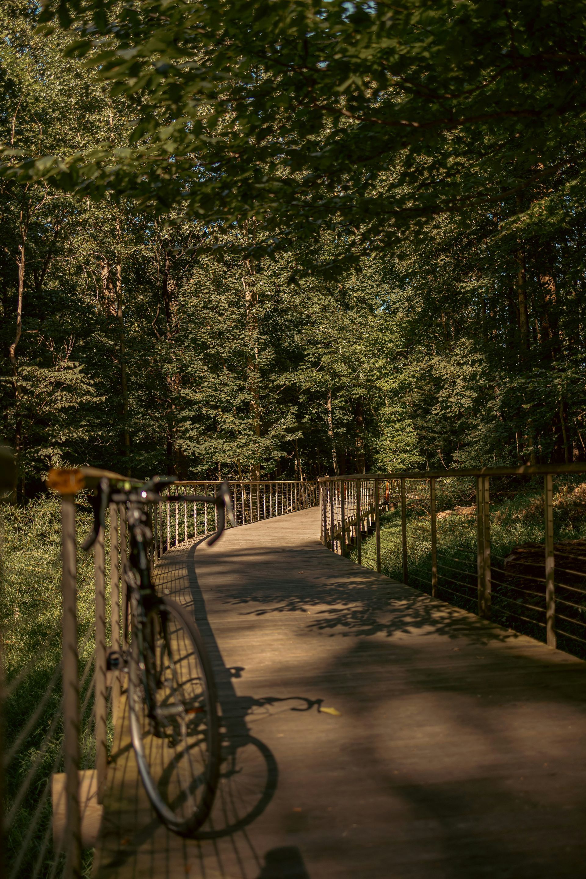 Bicycle parked on wooden bridge in a forest, sunlight filtering through the trees.