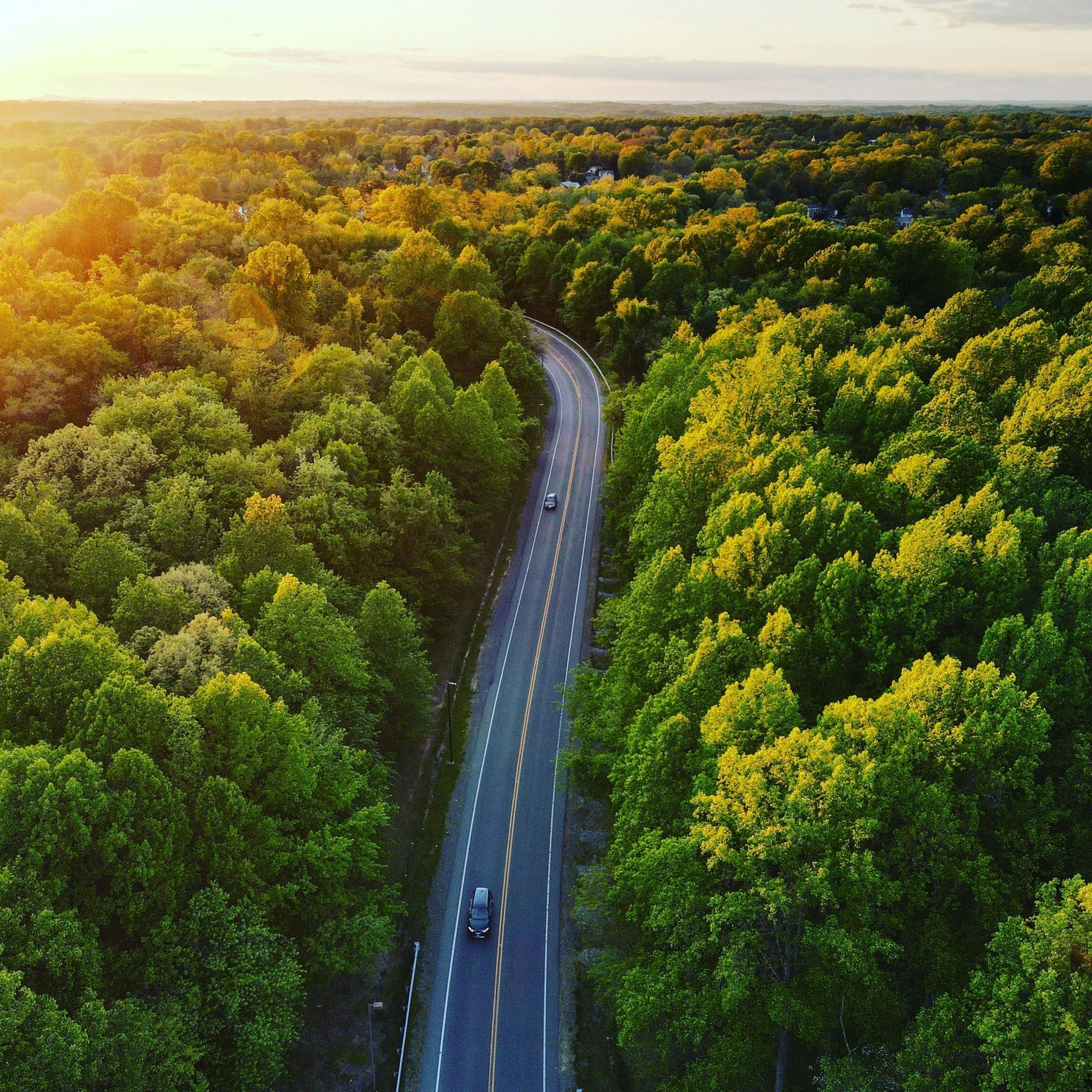A winding road cuts through a lush green forest at sunset, two cars driving.