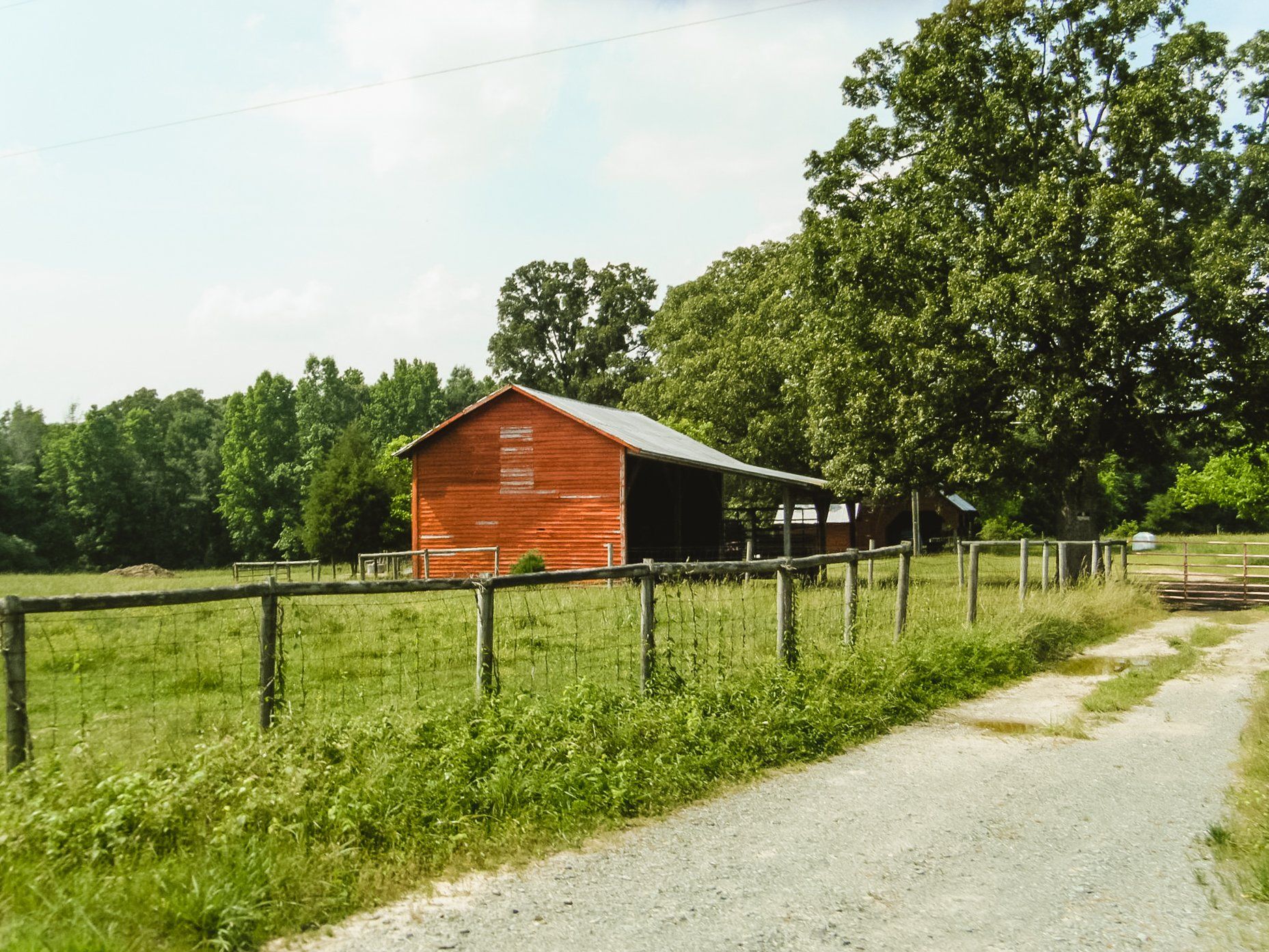 Reviews of Cohen Farm over image of three cows