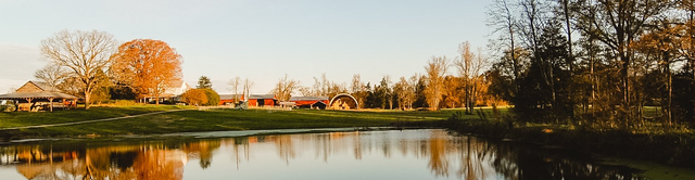 Cohen Farm photo 7