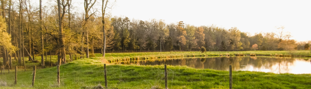 Cohen Farm photo 13