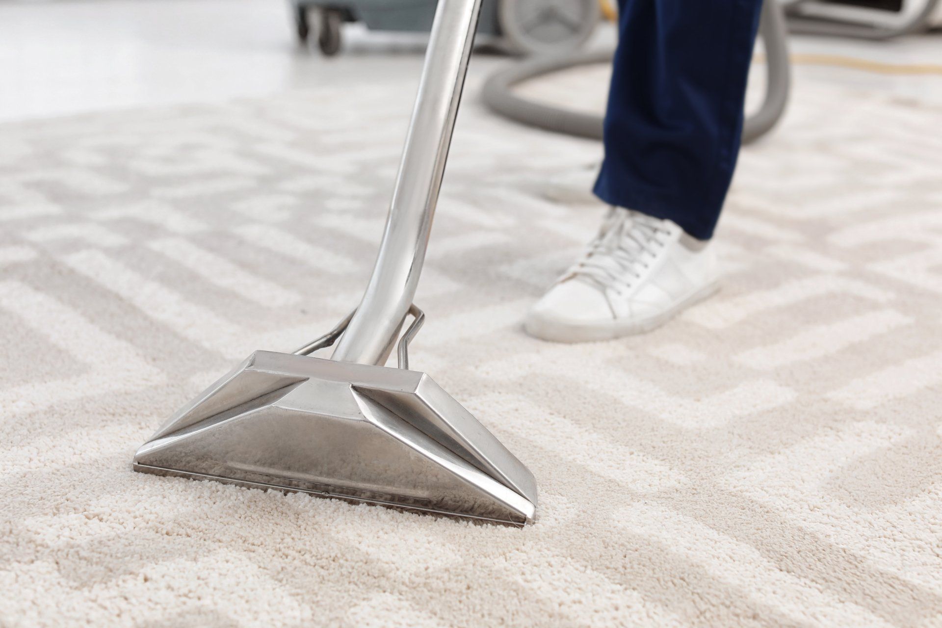 Why You Should Have Your Carpets Cleaned Professionally