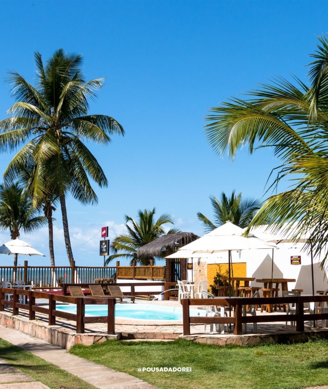 Palmeiras emolduram uma piscina e uma área de jantar à beira-mar sob um céu azul brilhante.