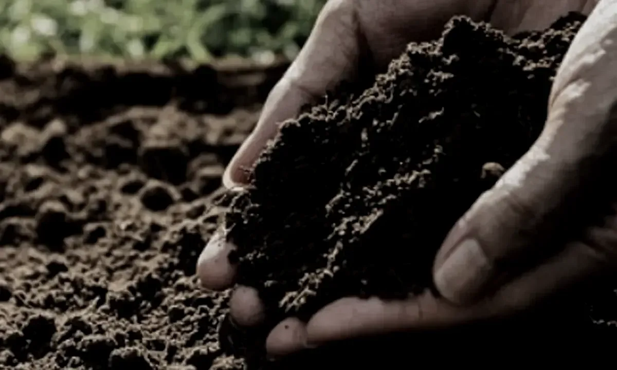 Soil Micronutrients