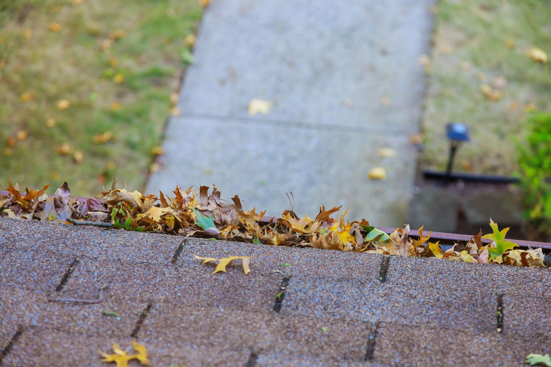 leaf guard