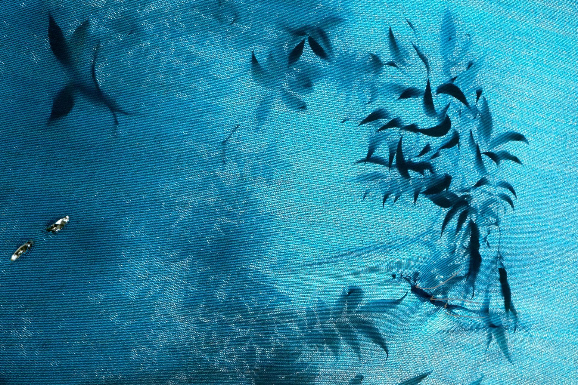 טְבוּעָה חוֹל