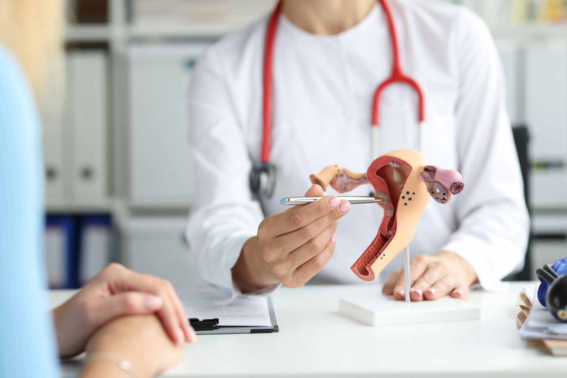A gynaecologist specialist shows patient work on training model of female reproductive system.