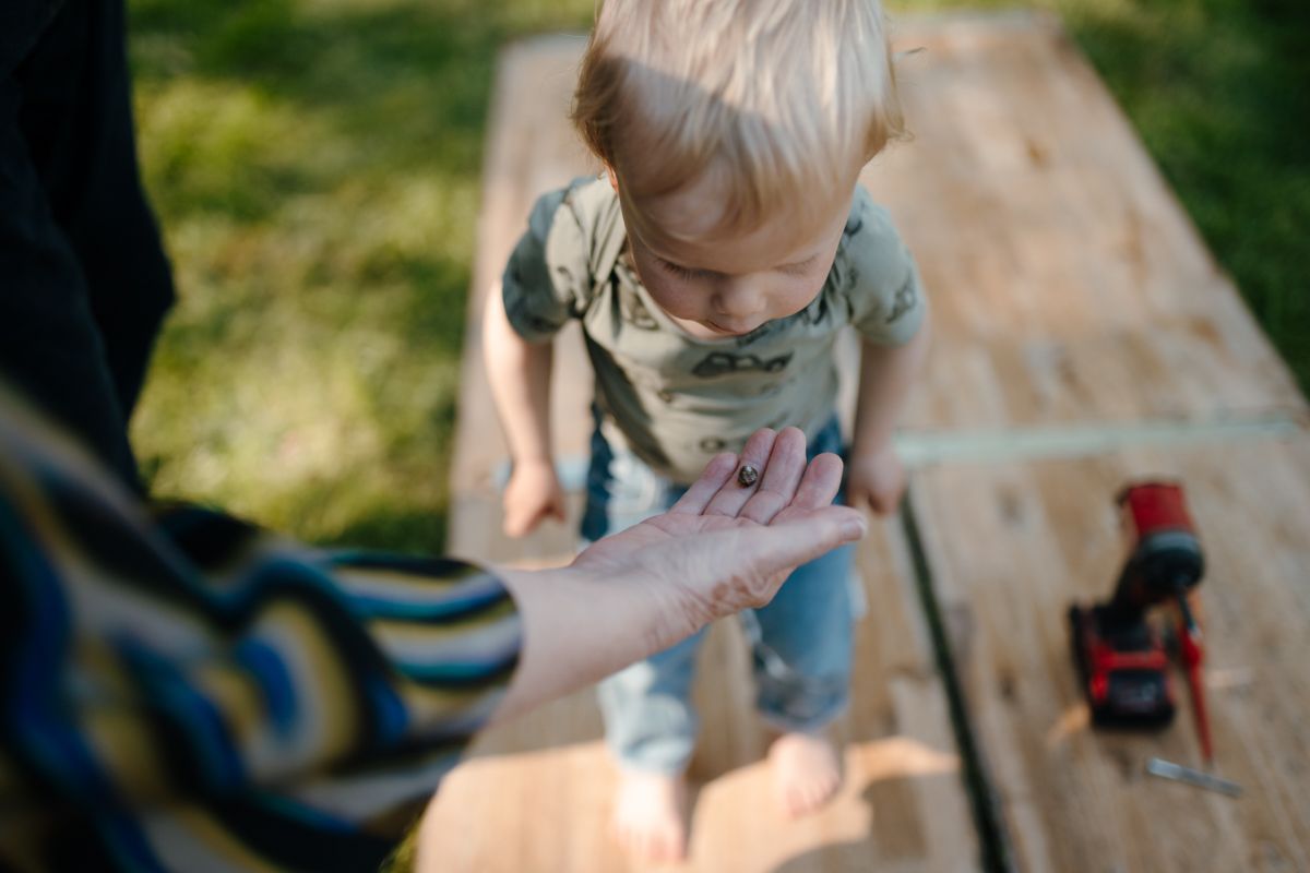 Fotograaf bij de familiedag