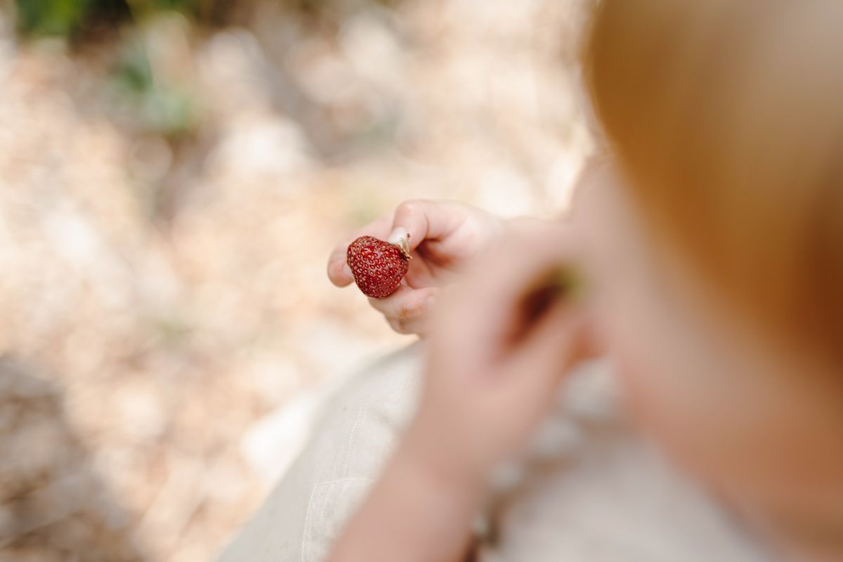 Fotoshoot in de moestuin