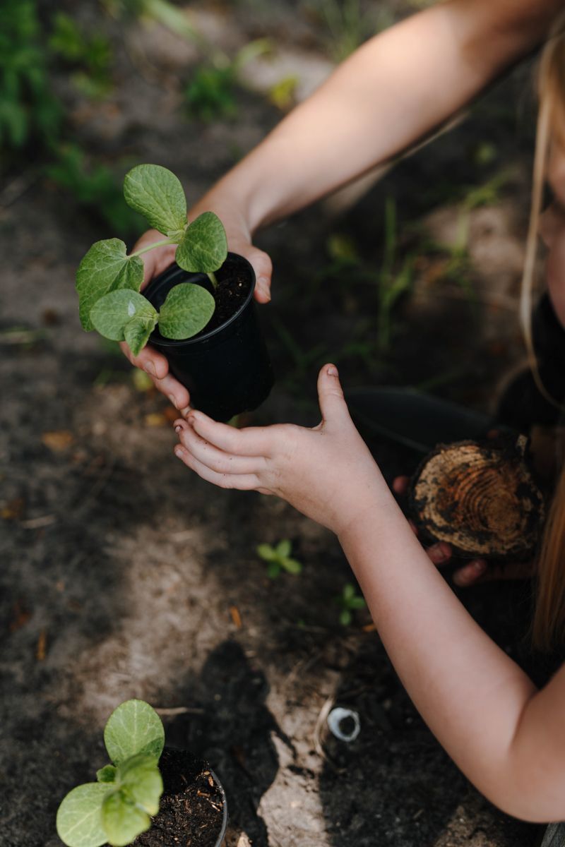 Fotoshoot in de moestuin