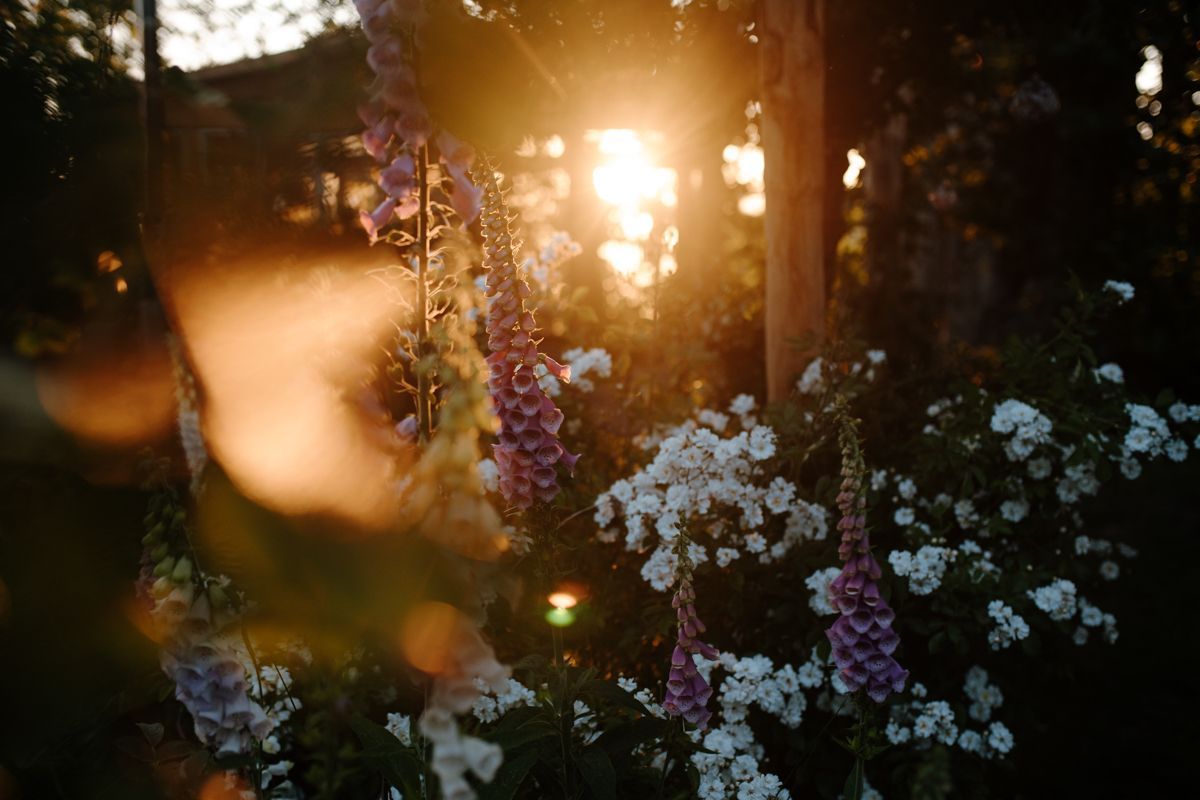 Fotoshoot in de tuin van Angelique - Stapel op mijn school