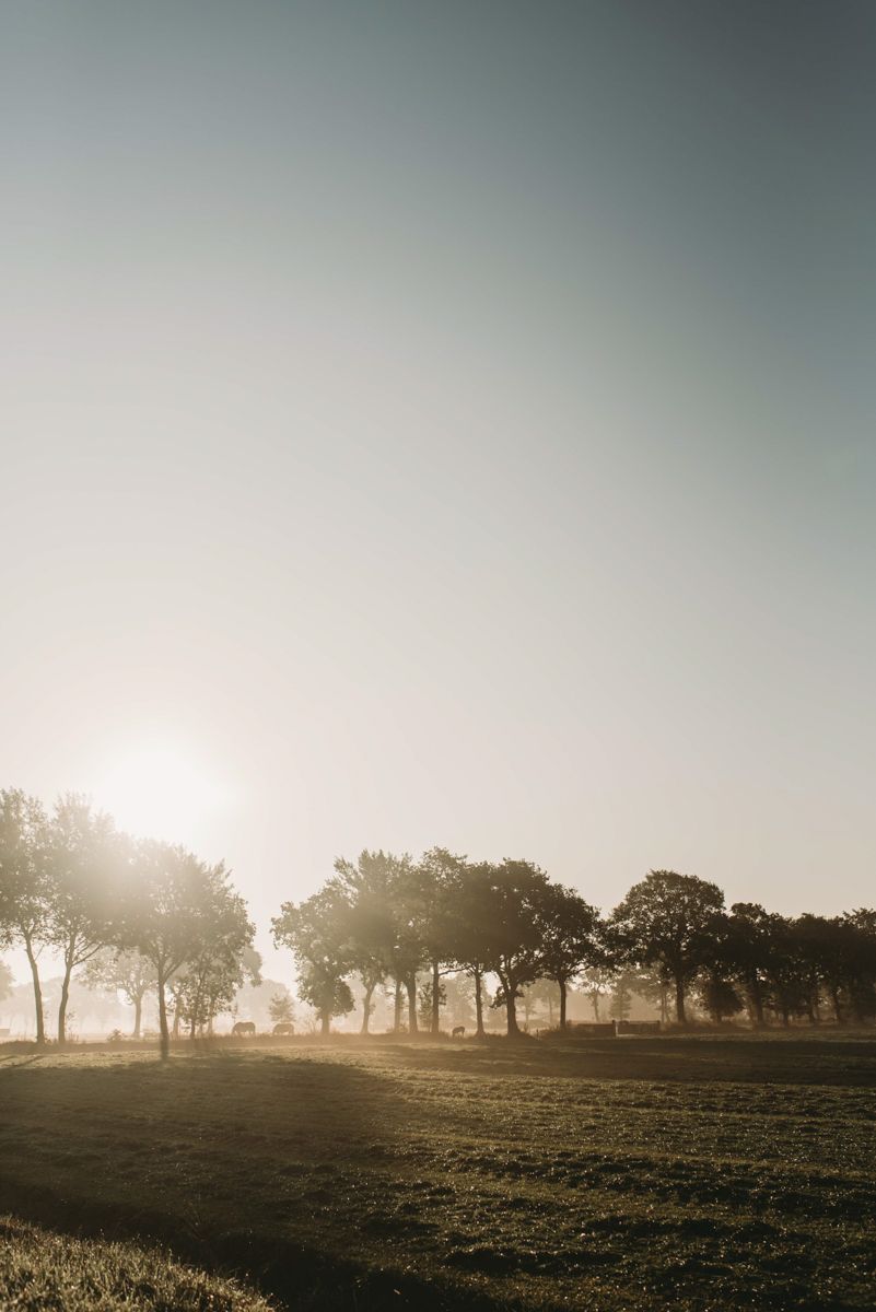 Het vastleggen van rituelen en gewoontes tijdens ziekte