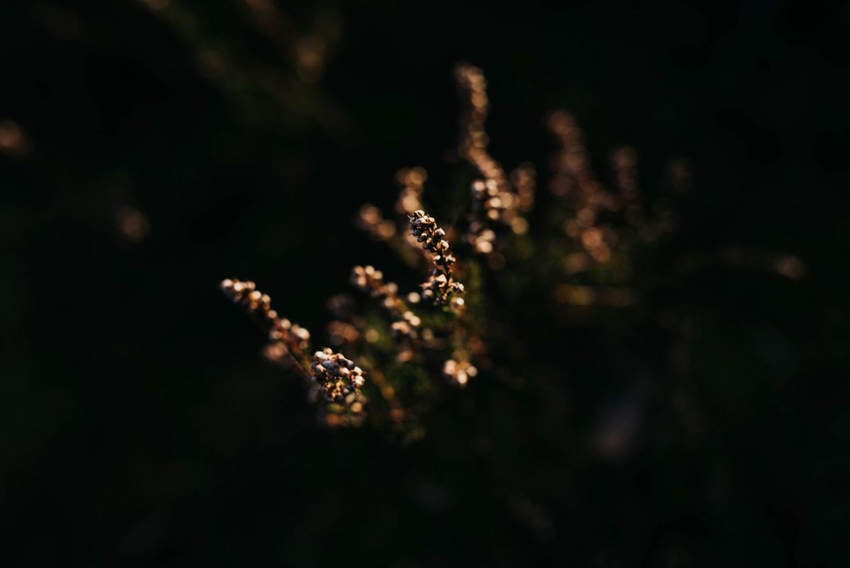 Het vastleggen van rituelen en gewoontes tijdens ziekte