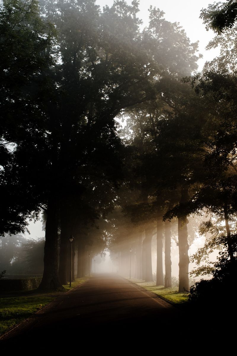 Het vastleggen van rituelen en gewoontes tijdens ziekte
