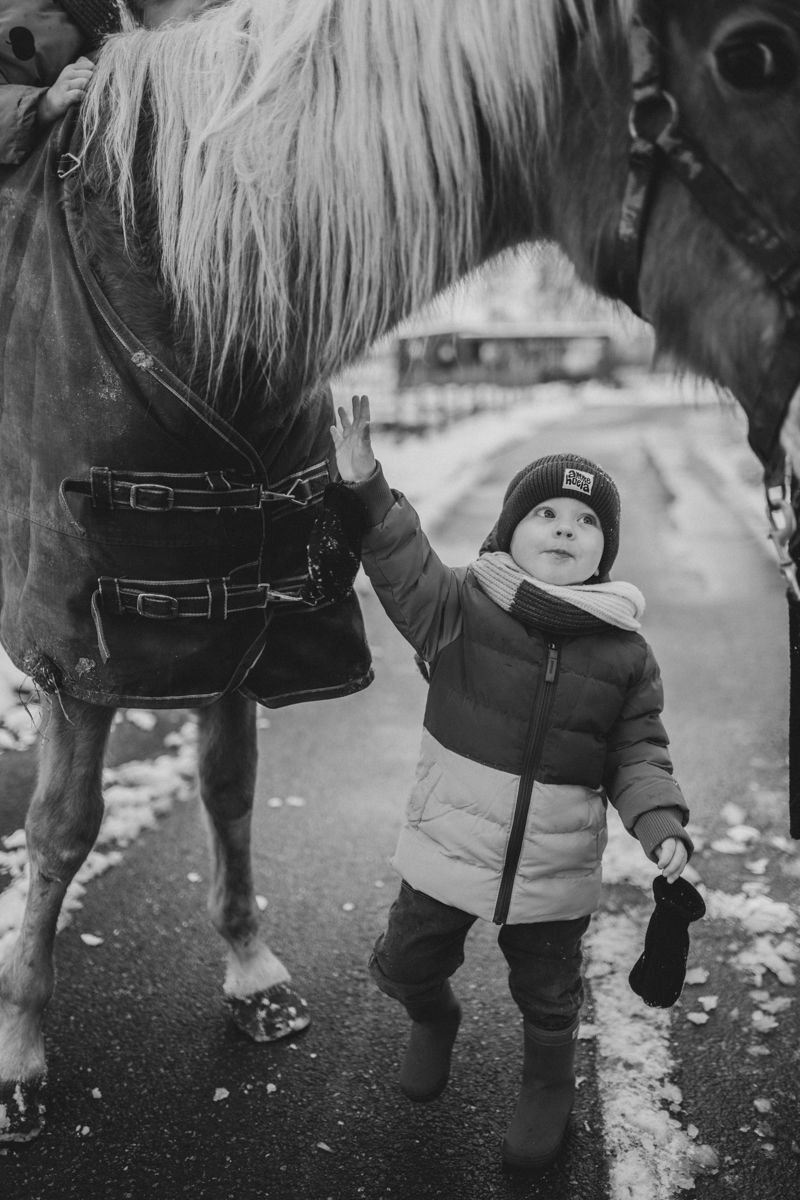 Wanneer is het beste moment voor een fotoshoot?