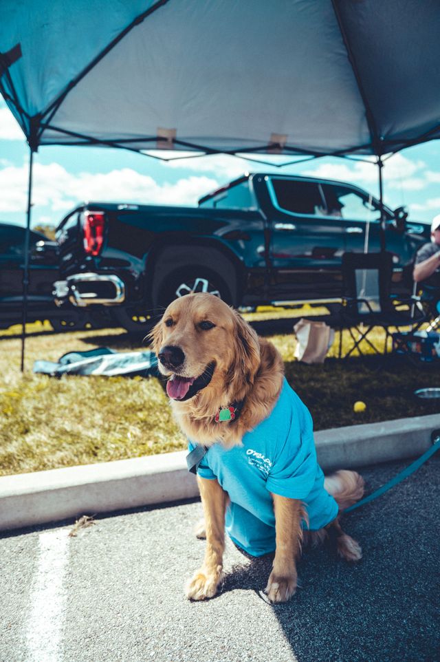 O'Fallon Car Show photo 136