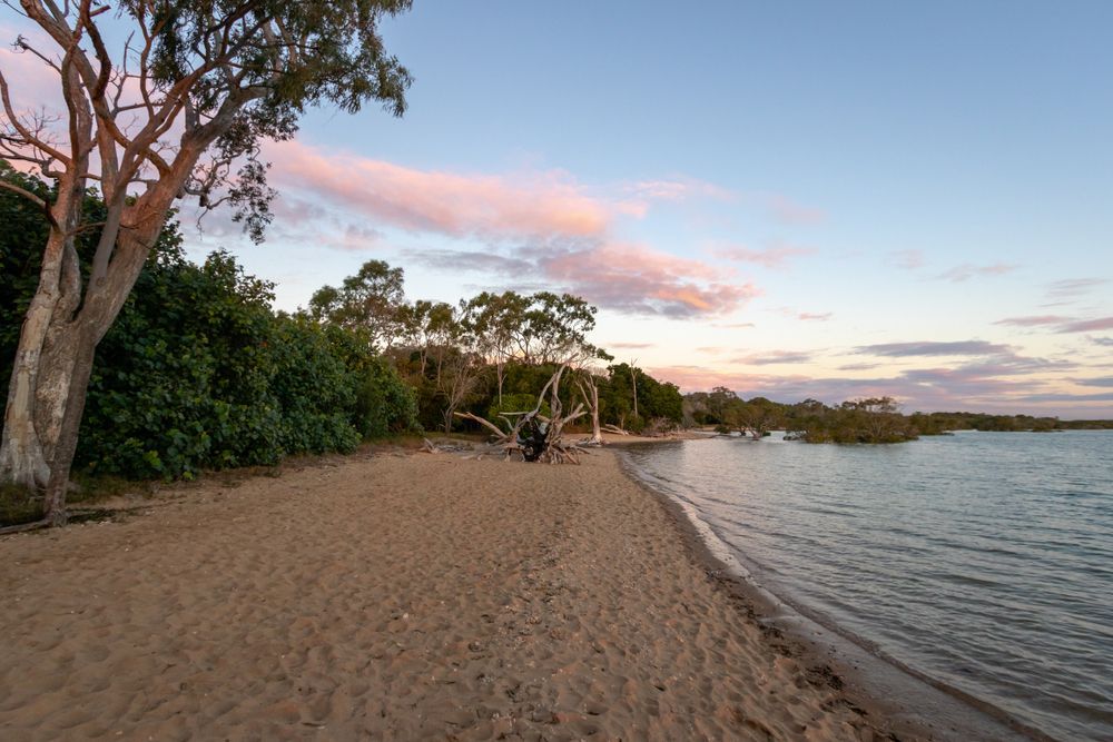 Beach scene at sunset. Sandy shore, calm water, trees, and pink and blue sky.
