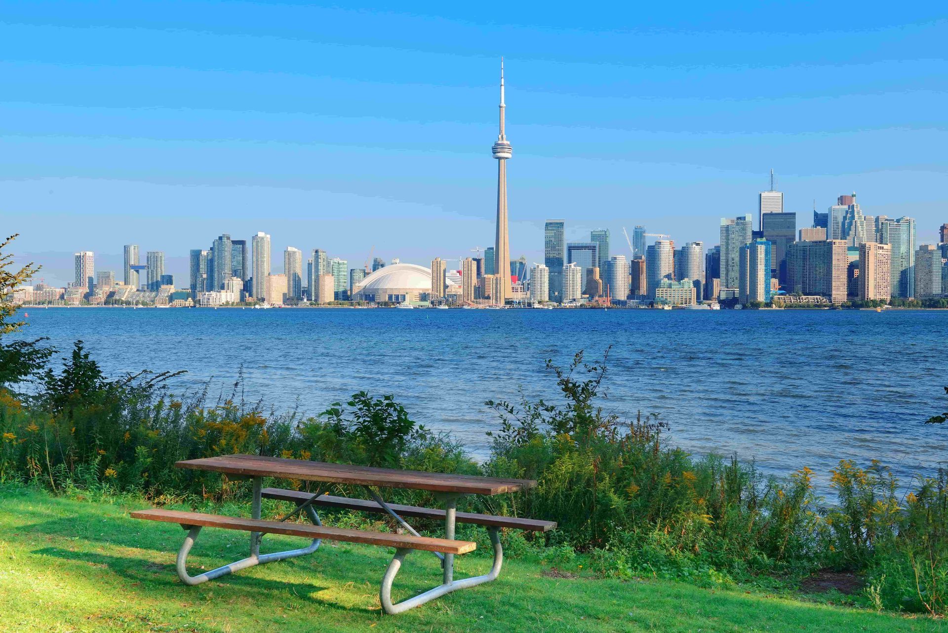Toronto skyline with CN Tower visible from across the water, picnic table in the foreground.