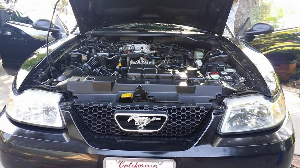 A black mustang with the hood up and a california license plate