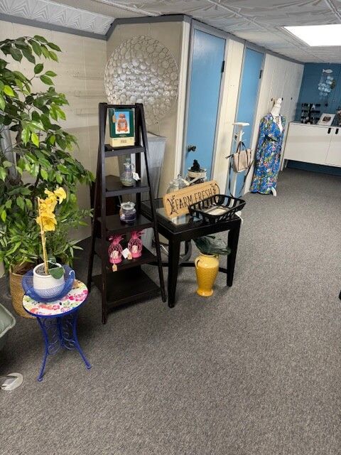 Interior shot of a store with display shelves, blue doors, a plant, and a mannequin.