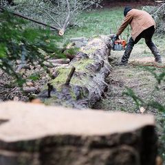Man Cutting Fallen Tree — Niceville, FL — S and S Complete Tree Service LLC