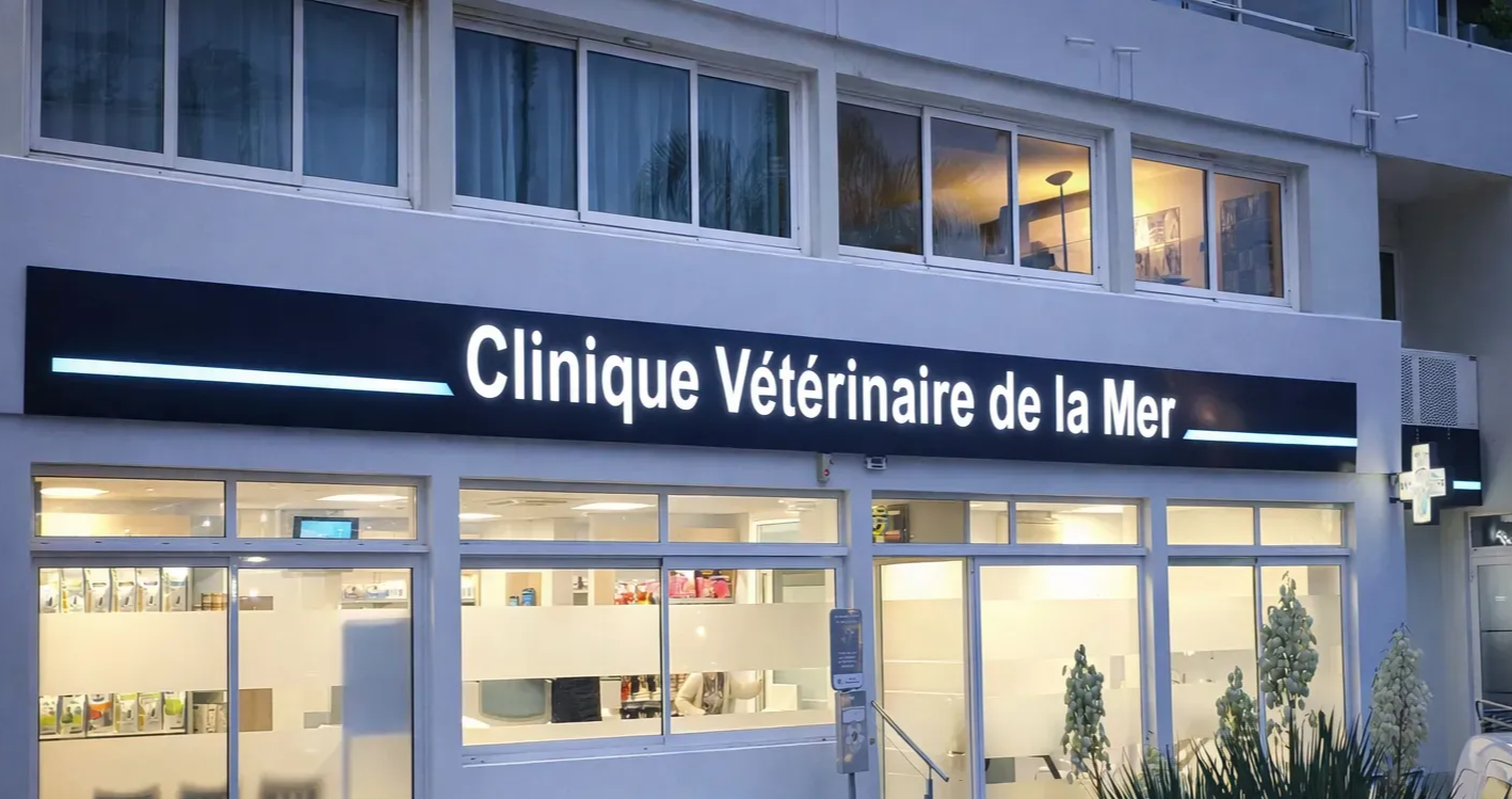 La façade de la Clinique Vétérinaire de la Mer au crépuscule, avec son enseigne lumineuse au-dessus de grandes vitrines.