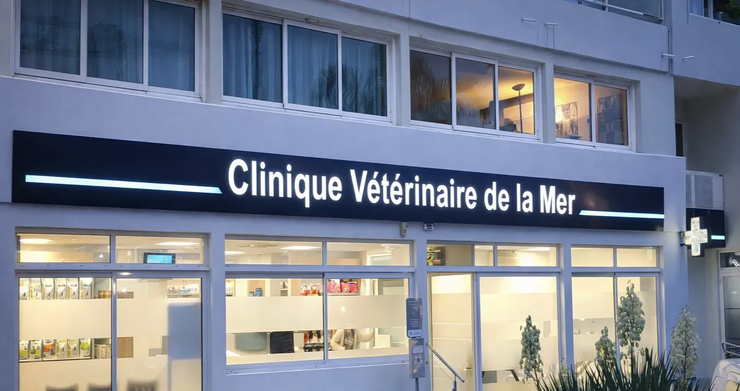La façade de la Clinique Vétérinaire de la Mer au crépuscule, avec son enseigne lumineuse au-dessus de grandes vitrines.