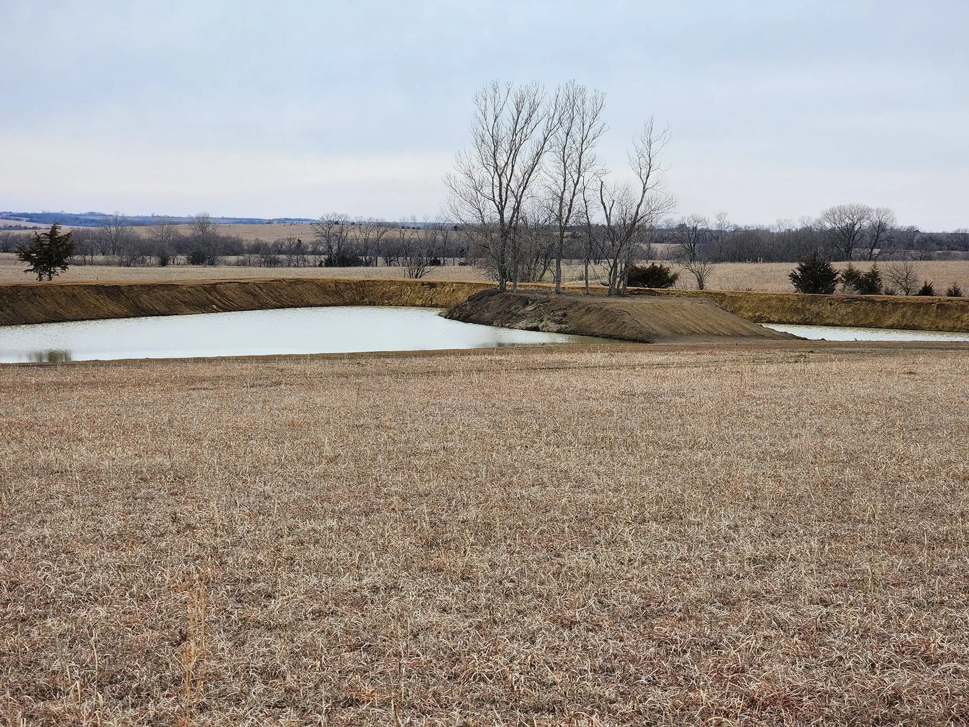 There is a small pond in the middle of a field.