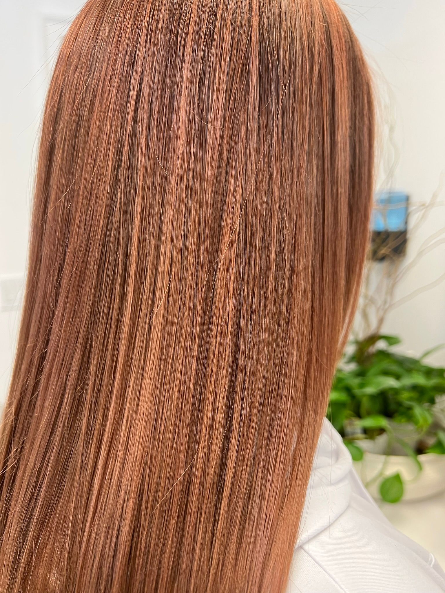 The back of a woman 's head with long brown hair.