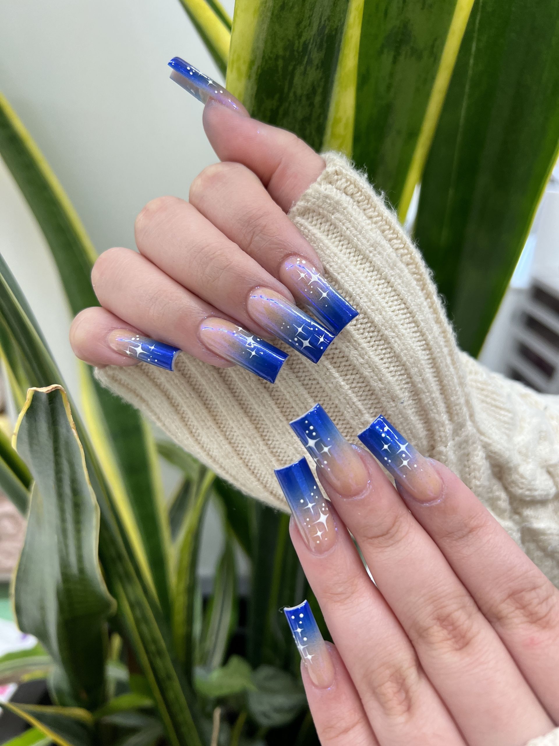 A close up of a person 's nails with a plant in the background.