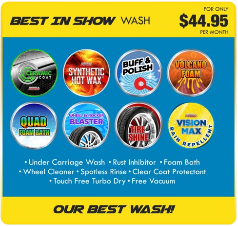 A poster for the best in show wash for only $ 44.95 per month.