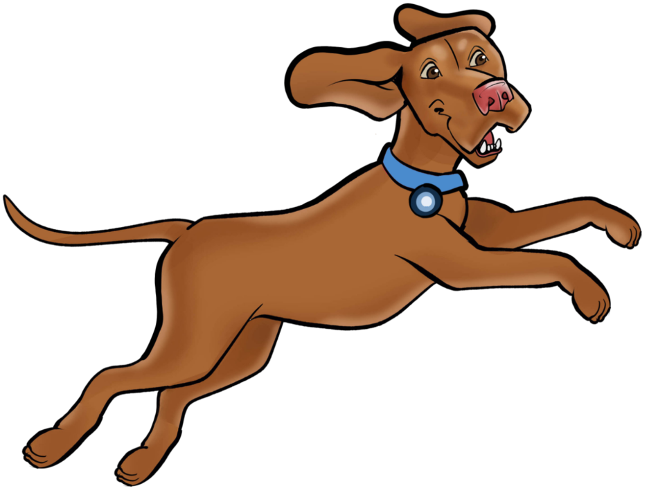 A brown dog with a blue collar is jumping in the air