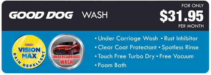 A good dog wash advertisement for $ 31.95 per month