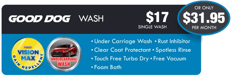 A good dog wash advertisement for $ 17 $ 31.95 per month