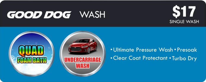 A coupon for a good dog wash for $ 17