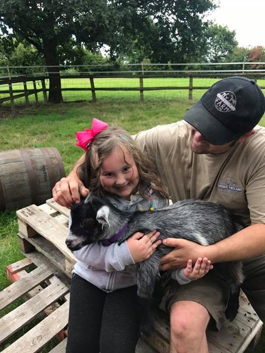Pygmy Goat