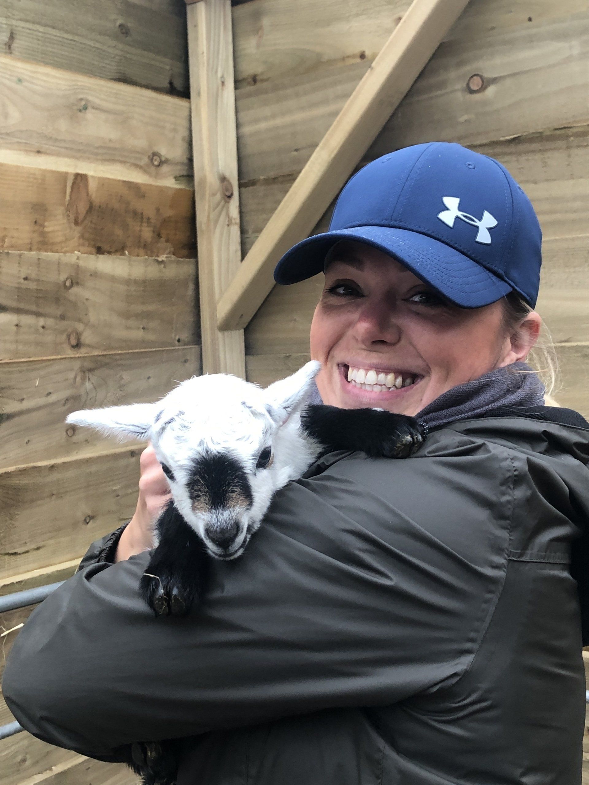 Meet our farm animals including pygmy goats