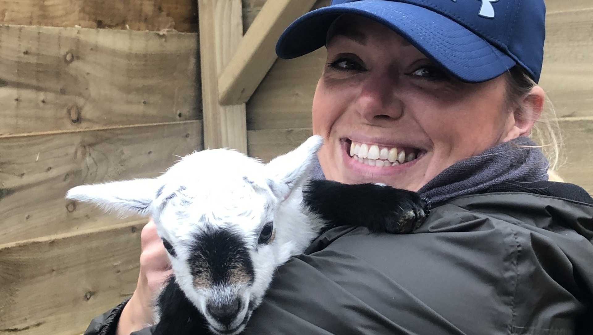 Meet our Pygmy Goats