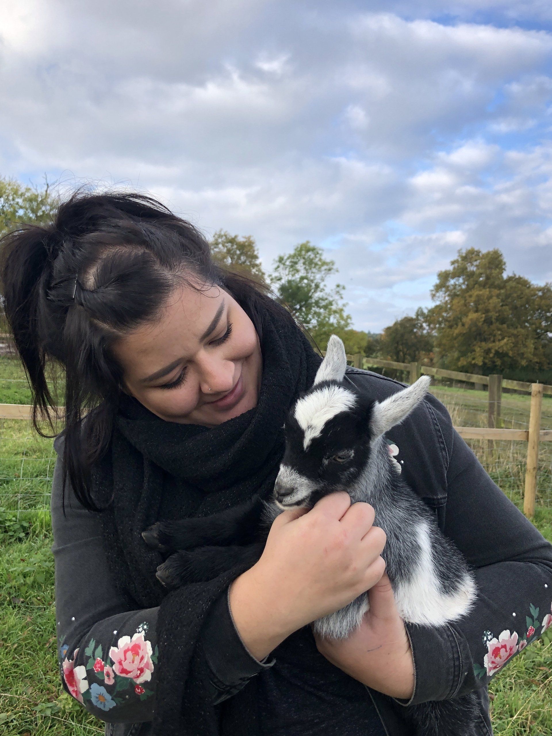 Meet our Pygmy Goat's at Middle England Farm