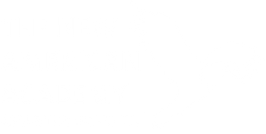 The New American Academy Charter School, Enrollment, Logo
