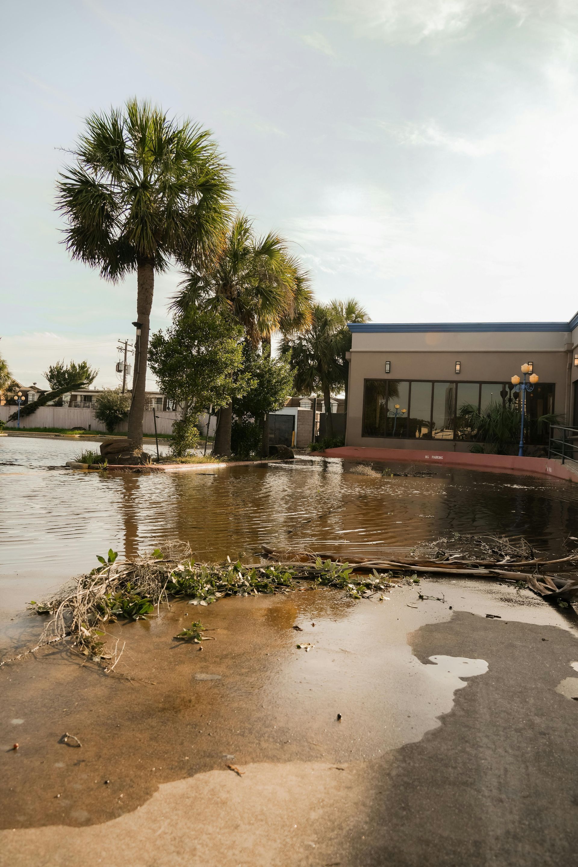 A flooded parking lot with a palm tree in the foreground and a building in the background.