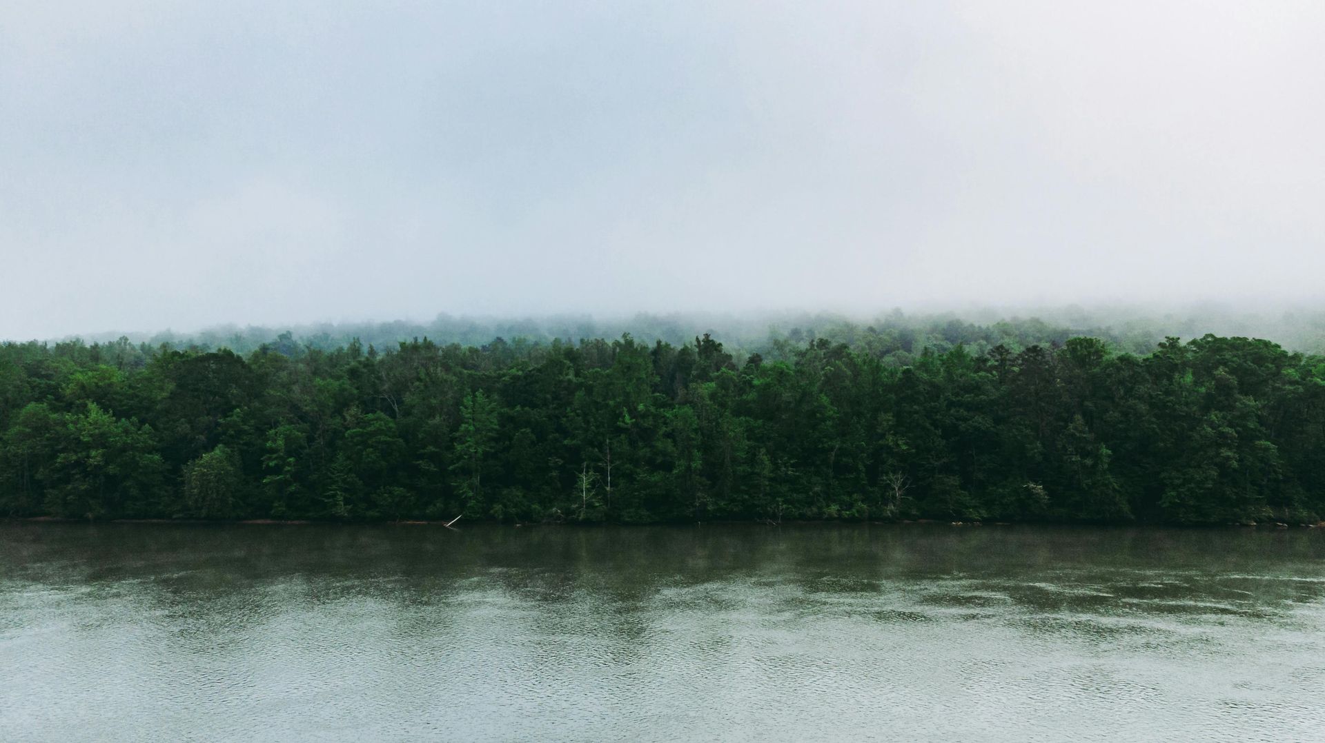 A lake surrounded by trees on a foggy day